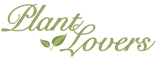 plantlovers piante plantlover green